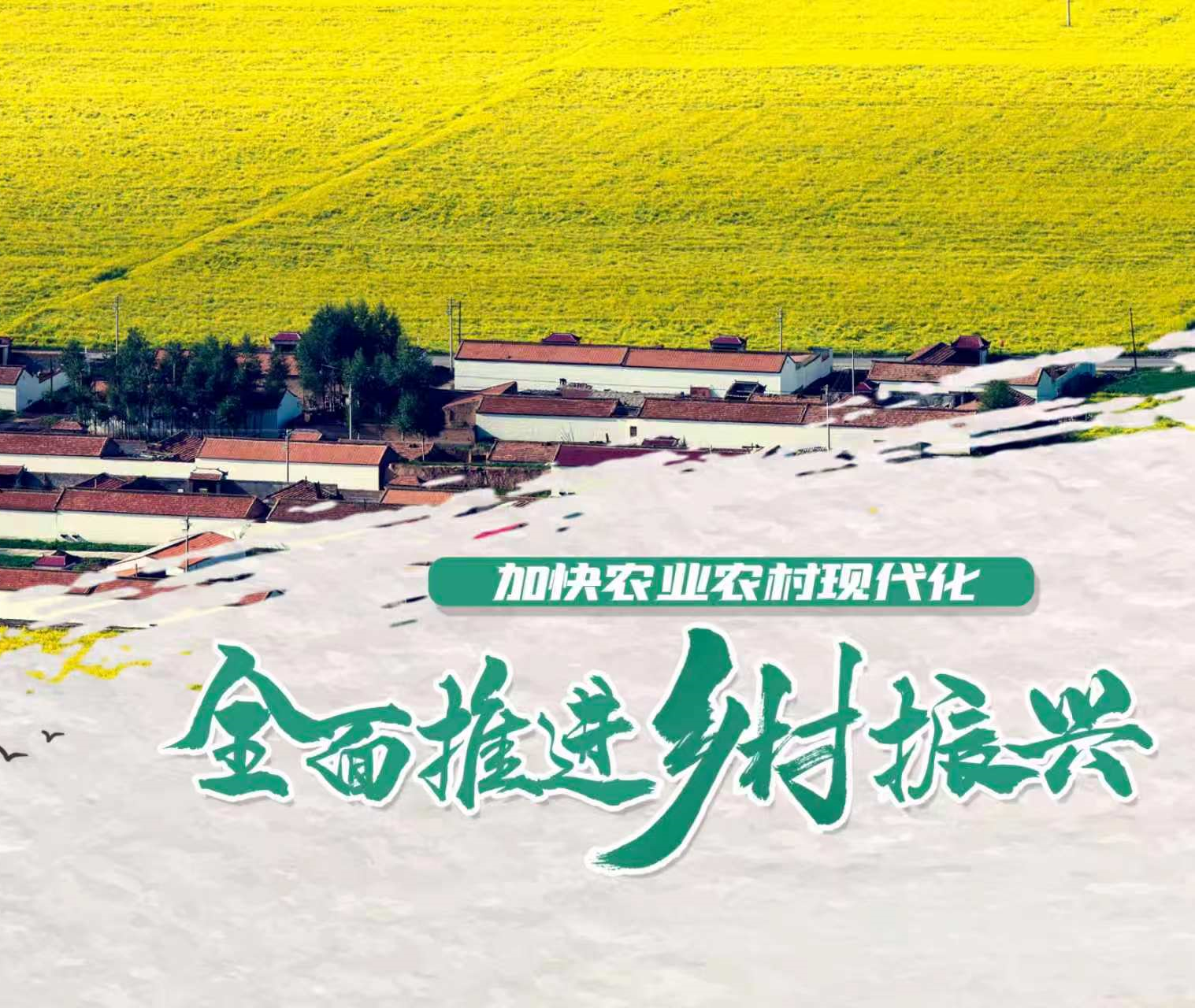 乡村振兴